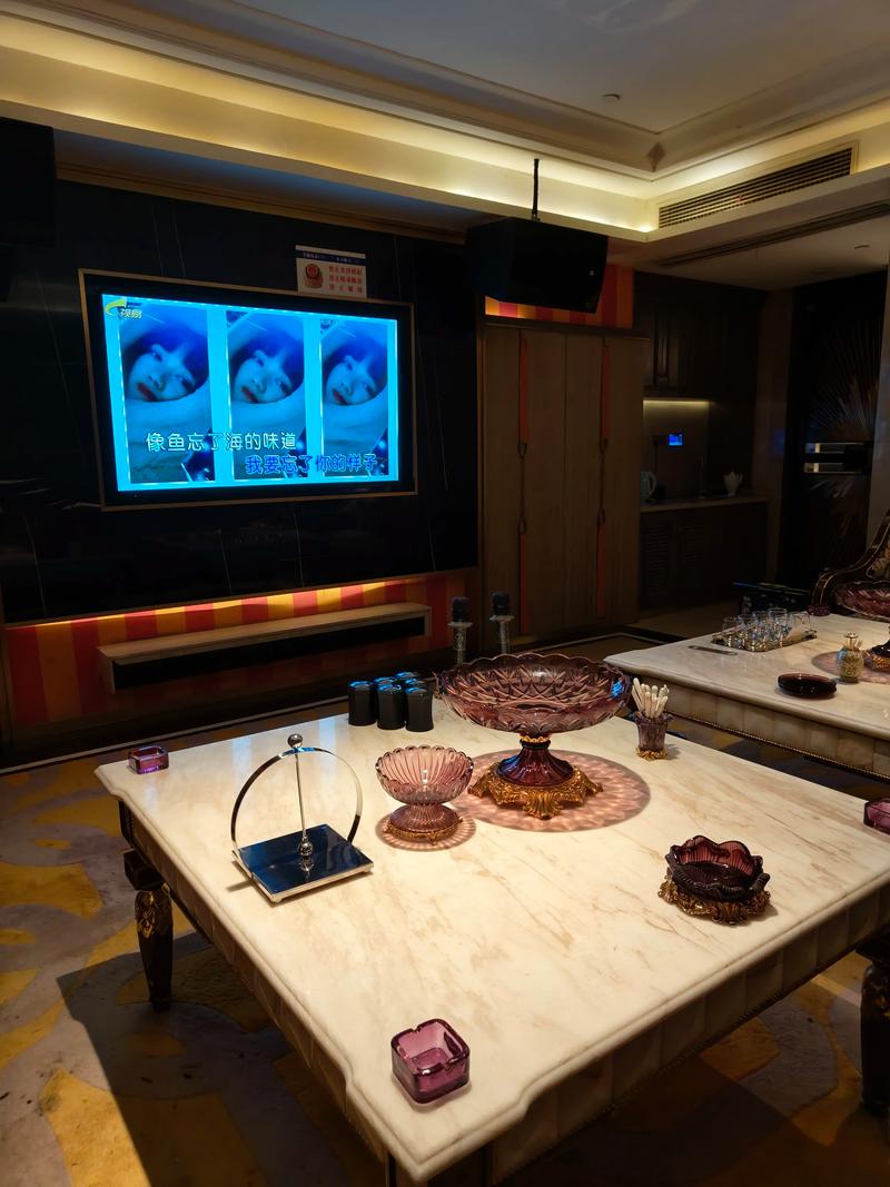 池州商务ktv玩法新颠覆-石台县ktv预定